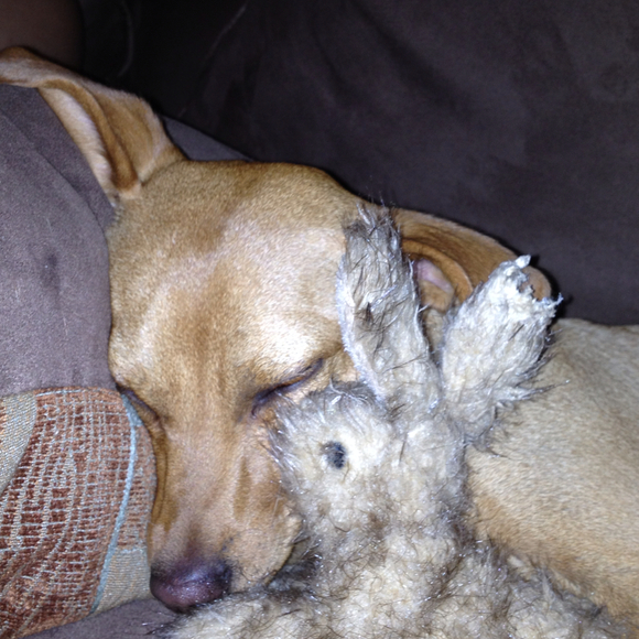 Profile Picture of Brianna Schryver (@brianna45) on Poshmark