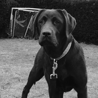 Nicholas Avellino - Facebook Profile Picture of Nicholas Avellino (@nicholas.avellino.31) on Facebook