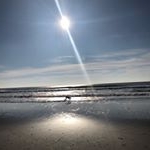 Profile Picture of Allyssa Marshall Tronoski (@lyssiloohoo) on Instagram