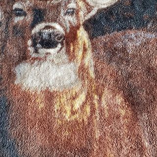 Profile Picture of Kevin Stockinger (@kevin.stockinger.3) on Facebook