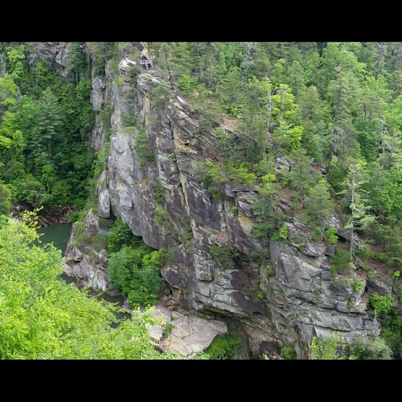 Profile Picture of Rachelle Keplinger (@keplingerk) on Poshmark