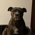 Profile Picture of Tomasz Gendek (@tomasz.gendek) on Facebook