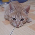 Profile Picture of Kime Resomar (@mike.ramores) on Facebook