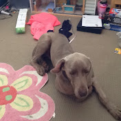 Profile Picture of Maya Walsh (@mayawalsh3457) on Youtube