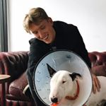 Profile Picture of James Healy (@jameshealy) on Instagram