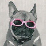 Profile Picture of Cindy Cousins (@taloulamango) on Instagram