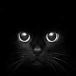 Profile Picture of Nader Ghazal (@luciferghazal) on Instagram