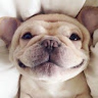 Profile Picture of Camille Thorp (@camille-thorp-1) on Quora