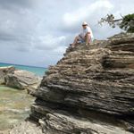 Profile Picture of Steven Reichman (@sarsax1) on Instagram