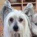 Profile Picture of Bruce Simon (@bruce.simon.144) on Facebook