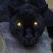 Profile Picture of Joel Parsons (@jcparsons2228) on Pinterest