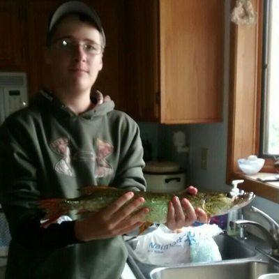 Profile Picture of Chris Braaten (@braaten954) on Twitter