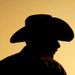 Profile Picture of Jim Terry (@jimt1664) on Pinterest