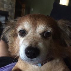 Casey Mcguire - Tiktok Profile Picture of Casey Mcguire (@@caseymcguire78) on Tiktok