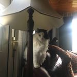 Profile Picture of Darryl heath (@heath_darryl) on Instagram