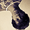 Profile Picture of Gabriel Caputo Mateus (@Gabriel Caputo) on Flickr