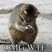 Profile Picture of JoAnn Pearce (@butcheroni2573) on Pinterest