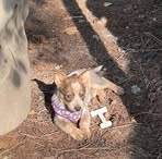 Profile Picture of Peggy Scriver (@peggy.scriver.7) on Facebook