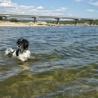 Profile Picture of Nancy Con (@nancy-con) on Quora