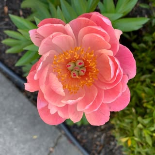 Profile Picture of Lucy Tkachuk (@lucytkachuk) on Instagram