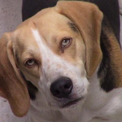 Profile Picture of Steven olivera (@Stevenolivera1) on Twitter