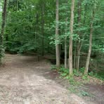 Profile Picture of Kevin Wetherall (@rockees.place) on Facebook