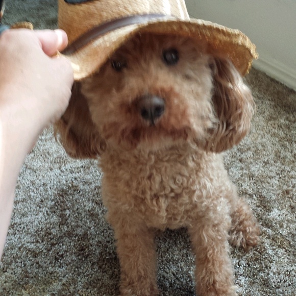 Profile Picture of Brenna Huesser (@brenna_69) on Poshmark