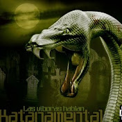 Profile Picture of Alejandro Fajardo (@mblkangel) on Youtube