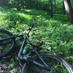 Profile Picture of Kyle Odum (@endurbro22) on Instagram