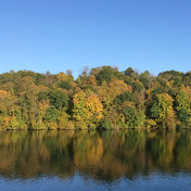 Profile Picture of Nancy Hurt Coldwell Banker Hedges Realty (@nancyhurtcoldwellbankerhed217) on Youtube