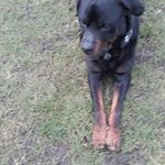 Profile Picture of Manuel colaco (@zeus3zwei8) on Instagram