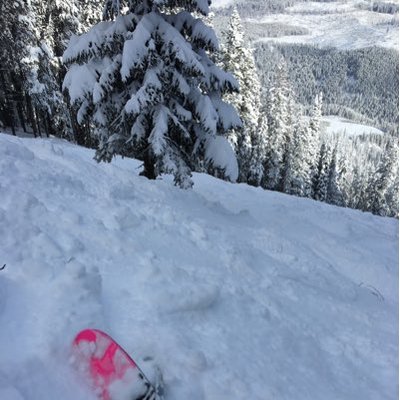 Profile Picture of melanie steele (@bigmel4516) on Twitter