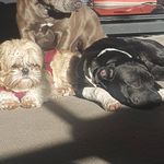 Profile Picture of Michelle Timms (@michelle.timms1960) on Instagram
