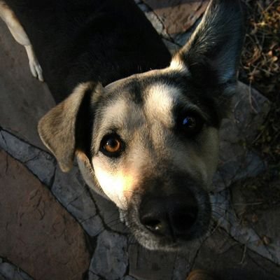 Profile Picture of Prescottstyle (@Prescottstyle) on Twitter