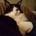 Profile Picture of Lara F (@lara_fredericks) on Pinterest