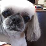 Profile Picture of Charles Mazza (@azzam1c) on Instagram