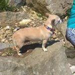 Profile Picture of Steven D'arcy (@steven.darcy.75470) on Instagram