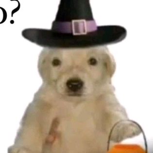 Profile Picture of jotaP (@johndaviddepea) on Tiktok