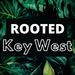 Profile Picture of Rooted Key West (@rootedkeywest) on Pinterest