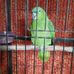 Profile Picture of Tammy Mattos (@tammy.mattos.545) on Facebook