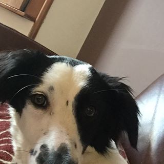 Profile Picture of Josephine Trunket (@josephine.trunket.1) on Facebook