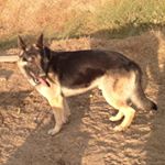 Profile Picture of Kevin Valadez.  pm♡ (@kvaladez_14) on Instagram