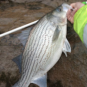 Fishing With Foster - Youtube Profile Picture of Fishing With Foster (@fosterspyro8885) on Youtube