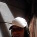 Profile Picture of Simone Calvert (@simone.calvert.737) on Facebook