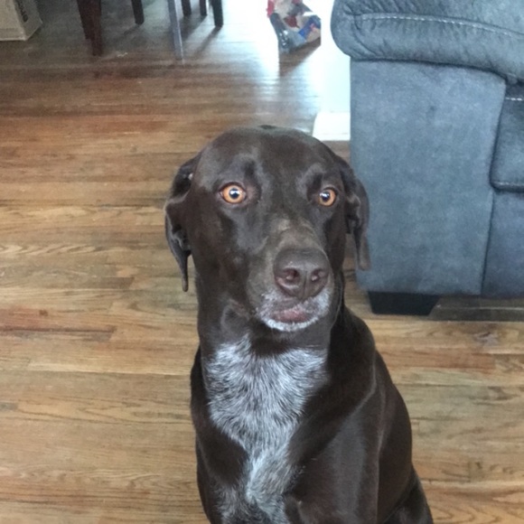 Profile Picture of Alexis Dodds (@alexisdodds2) on Poshmark