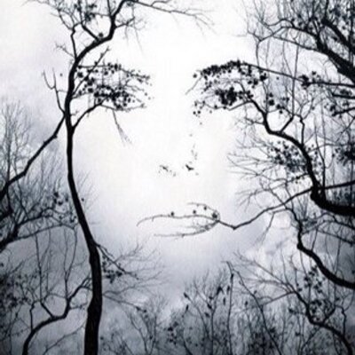 Profile Picture of Stephen Glew (@stevieglew) on Twitter