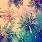 Profile Picture of luke hanna (@llukehanna) on Instagram