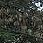 Profile Picture of Joao Carlos Silva (@cssilva0347) on Flickr