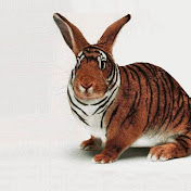 Profile Picture of Sethhurley22 (@sethhurley22) on Youtube