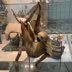 Profile Picture of 👽Michael Breen👽 (@mbisdoinstuff) on Instagram